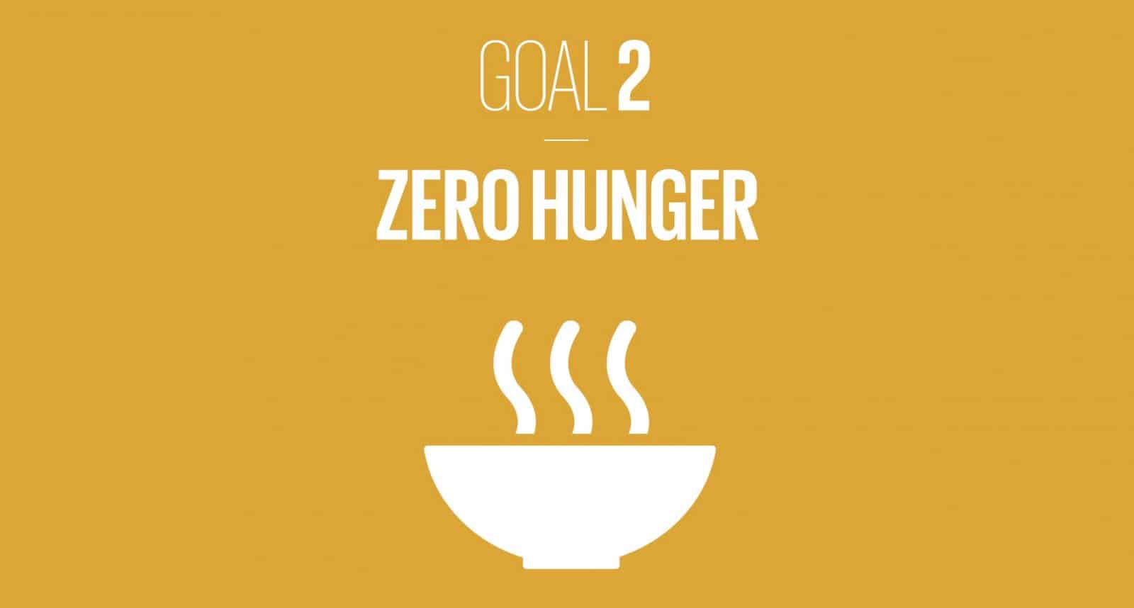 2 Zero Hunger BraineHealth