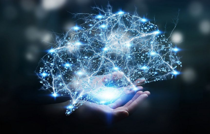 brain neural network